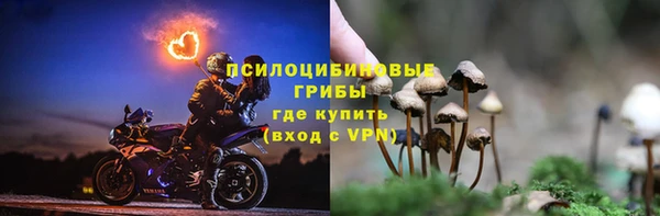 мдма Богородск