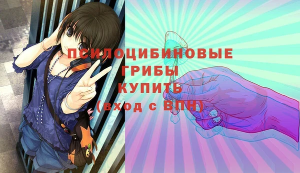 а пвп мука Богданович